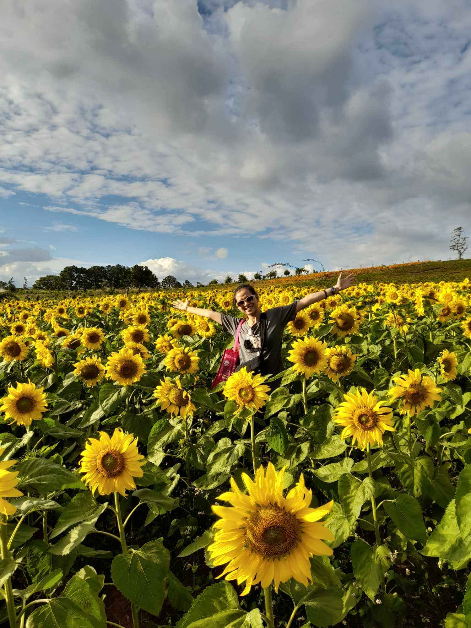 SELFGUIDE TO DALAT