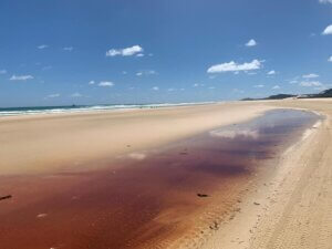 Drive on the beautiful sand island- Discover K'gari (Fraser) island: A fun 4-Day, 3-Night Adventure
