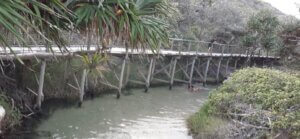 Eli Creek- Discover K'gari (Fraser) island: A fun 4-Day, 3-Night Adventure