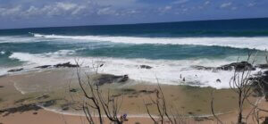Enjoying the ocean view - Discover K'gari (Fraser) island: A fun 4-Day, 3-Night Adventure