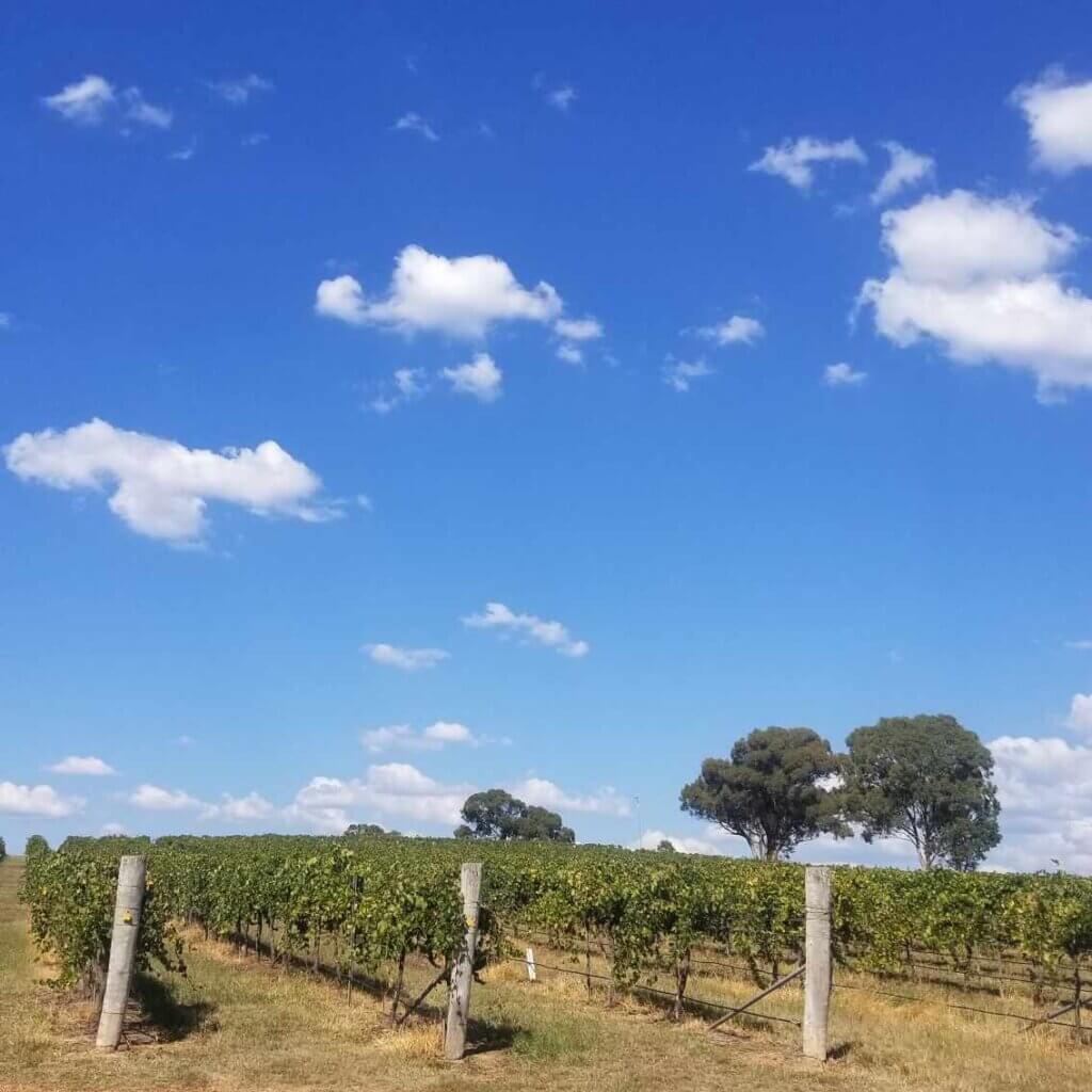 things to do in Mudgee