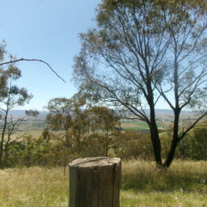  Things to do in Bathurst- Mount Panorama Lookout
