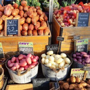 Newcastle City Farmers Market
