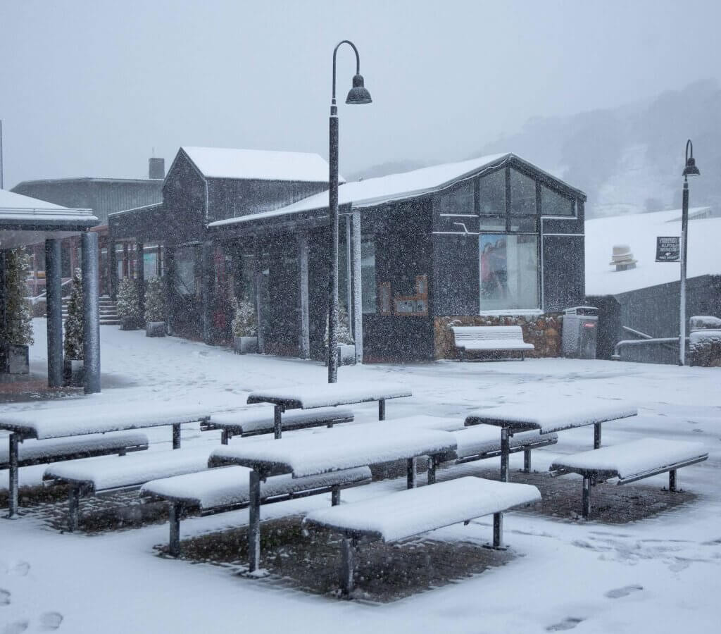 Savoring Snowflakes Before the Road Home